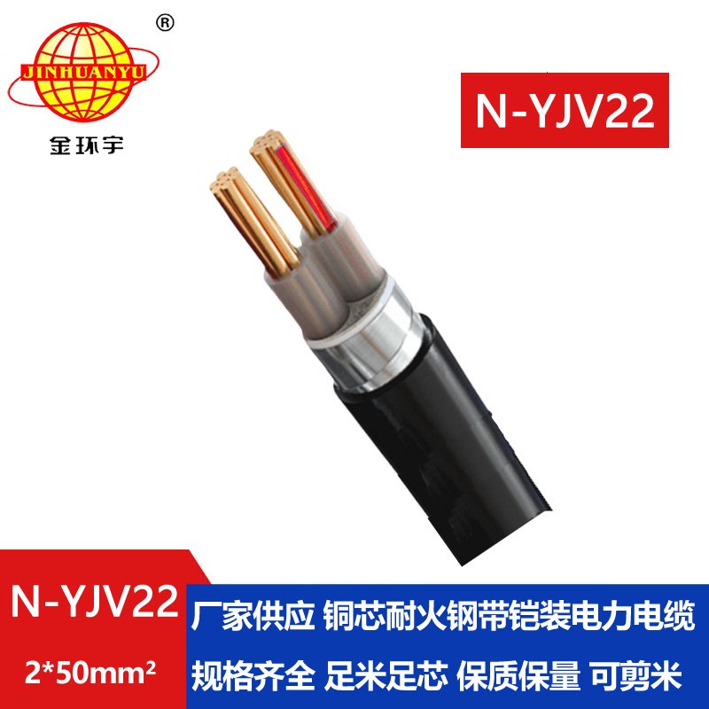 金環(huán)宇電線電纜 耐火電纜N-YJV22-2X50平方 yjv22鋼帶鎧裝電力電纜