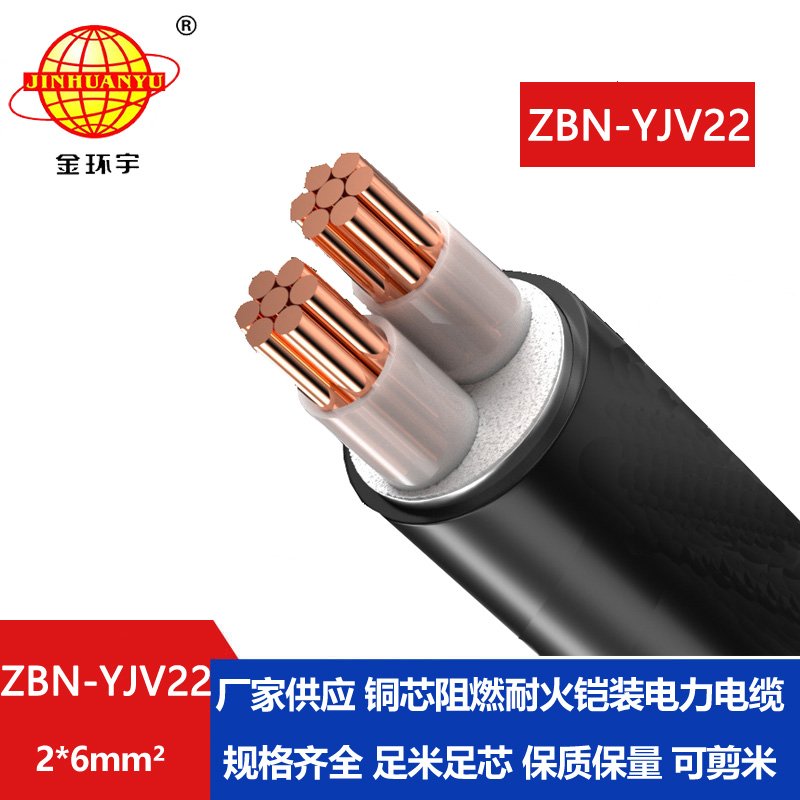 金環(huán)宇電線電纜 yjv22鎧裝電纜ZBN-YJV22-2X6平方 阻燃耐火電纜