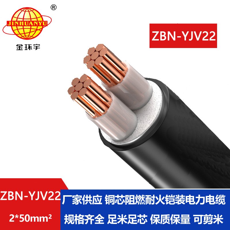 金環(huán)宇電線電纜 阻燃耐火電纜ZBN-YJV22-2X50平方y(tǒng)jv22鎧裝電纜 