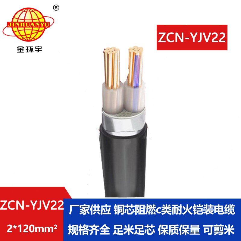 金環(huán)宇 ZCN-YJV22-2X120平方 c類(lèi)阻燃耐火低壓鎧裝電力電纜