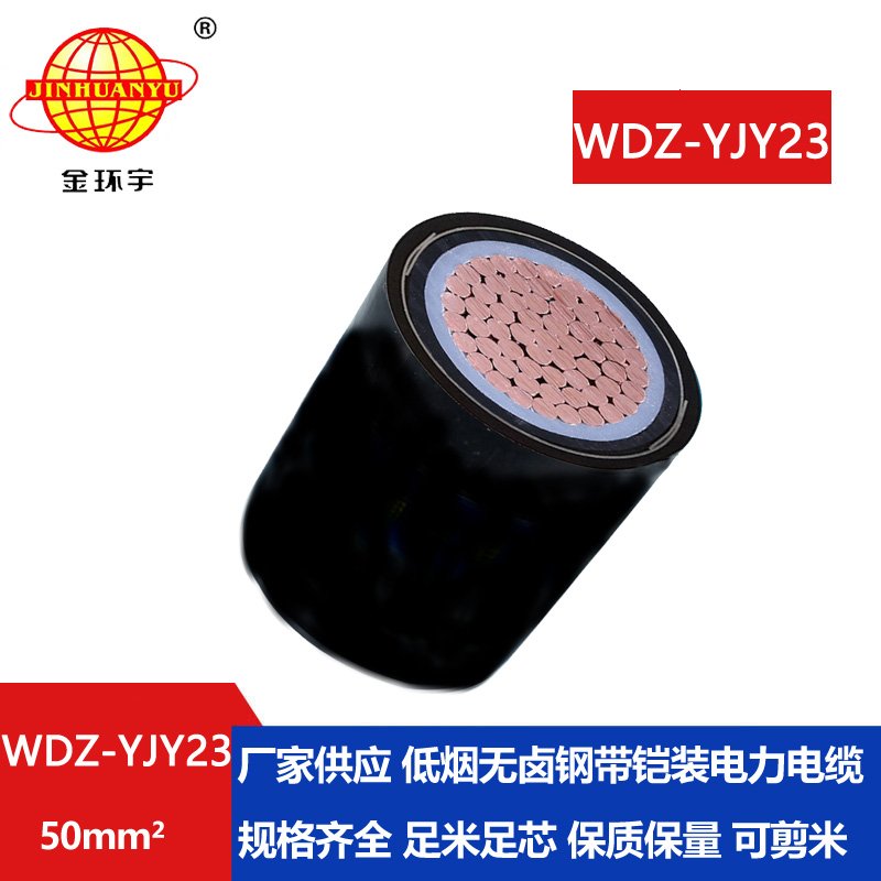金環(huán)宇 低煙無鹵絕緣電纜 鎧裝電力電纜WDZ-YJY23-50平方 