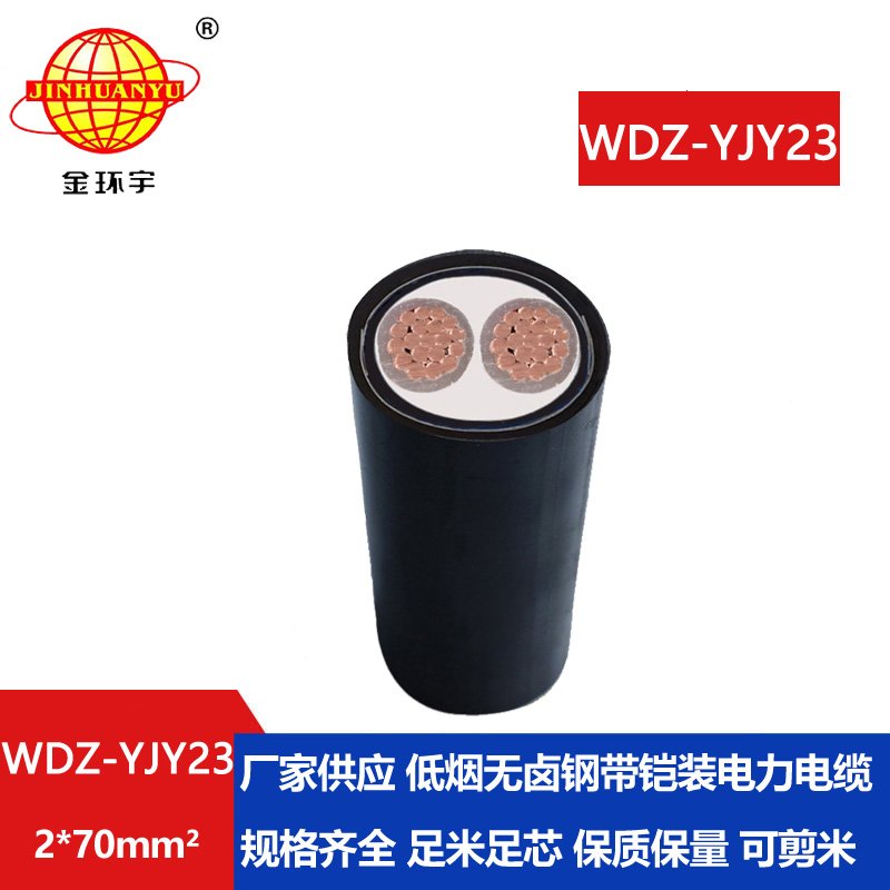 金環(huán)宇 WDZ-YJY23-2X70 低煙無(wú)鹵鎧裝電力電纜 低壓交聯(lián)電纜